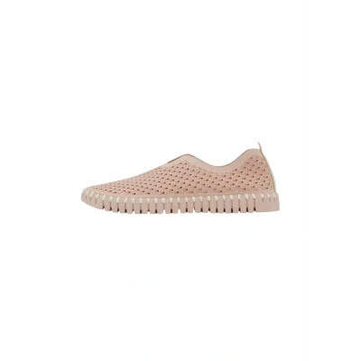 Abbildung von Ilse Jacobsen Slipper, Damen, Größe: 36, adobe rose Kunststoff/polyamid