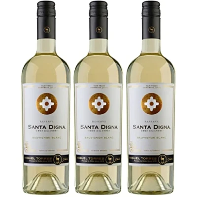 Abbildung von Miguel Torres Santa Digna Reserva Sauvignon Blanc Weißwein Wein Trocken Chile I Versanel Paket (3 x 0,75l)