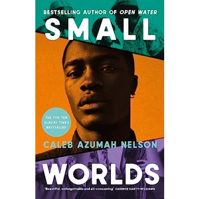 Abbildung von Small Worlds: THE TOP TEN SUNDAY TIMES BESTSELLER