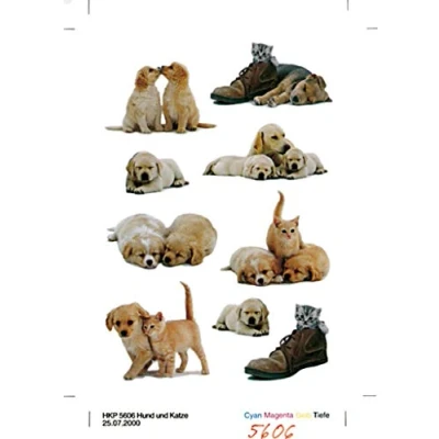 Abbildung von 10 x HERMA Schmucketiketten Decor Hundewelpen VE=3 Blatt