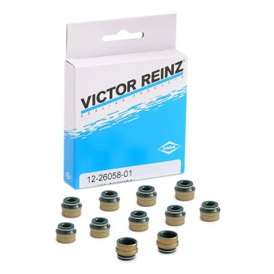 Abbildung von Dichtungssatz, Ventilschaft REINZ 12 26058 01
