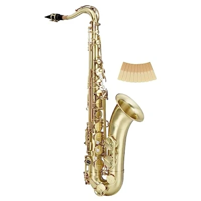 Abbildung von Classic Cantabile Winds TS 450 Brushed Bb Tenorsaxophon Stimmung Hoch Fis Klappe Spar Set inkl. 10 Stück Saxophon Blätter, Stärke 2.0