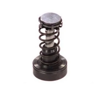 Abbildung von Kolben, Common Rail Pumpe BOSCH F 01M 101 347