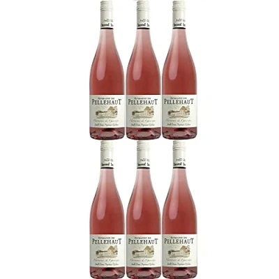 Abbildung von Domaine de Pellehaut Harmonie Gascogne Rosé Côtes Rosewein trocken IGP Frankreich I Visando Paket (6 Flaschen)