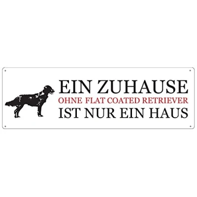 Abbildung von Interluxe METALLSCHILD Shabby Vintage Blechschild EIN ZUHAUSE OHNE Flat Coated Retriever Geschenk Tierisch
