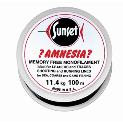 Abbildung von JENZI Amnesia Leader Vorfach Schwarz 25lbs 100m
