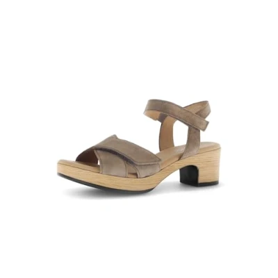 Abbildung von Gabor Damen Riemchensandalen, Frauen Sandalen,Sommerschuhe,Freizeitschuhe,offene Schuhe,Strandschuhe,Sandaletten,sesamo (S.Holz),37 EU / 4 UK