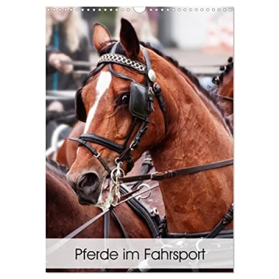 Abbildung von Pferde im Fahrsport (Wandkalender 2025 DIN A3 hoch), CALVENDO Monatskalender
