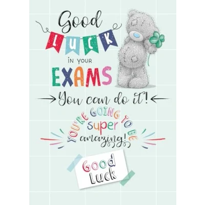 Abbildung von Me To You Tatty Teddy Glückwunschkarte mit Aufschrift Good Luck In Your Exams, 12,7 x 17,8 cm,