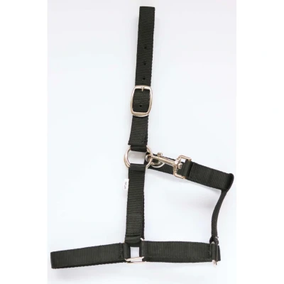 Abbildung von HB Halfter Nylon Schwarz Fohlen Mini