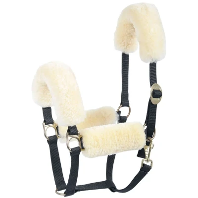 Abbildung von Harry&#039;s Horse Two tone Halfterset