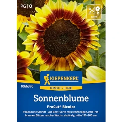 Abbildung von Kiepenkerl Profi Line Sonnenblumensamen Pro Cut Bicolor 1066370 Pollenarme Schnittsorte mit zweifarbigen, gelb rotbraunen Blüten Wildblumensamen, Saatgut