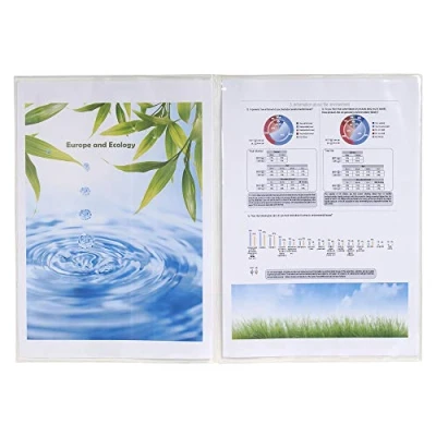 Abbildung von Exacompta 5381E 20 Schutzhüllen (für Ihre Dokumente DIN A4, 29,7 x 21 cm, aus glattem PVC 150µ, 4 Seiten) 2 10er Pack transparentDurchsichtig