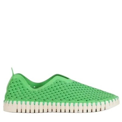 Abbildung von Ilse Jacobsen Slipper Tulip3275 39, Grün