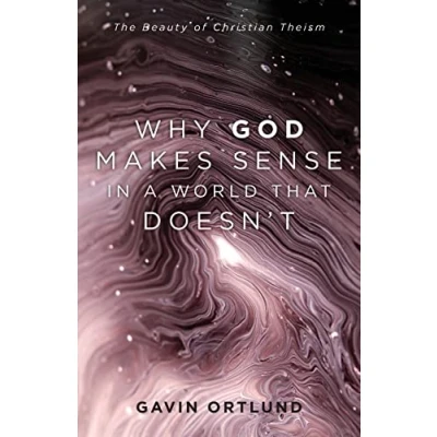 Abbildung von Why God Makes Sense in a World That Doesn&#039;t: The Beauty of Christian Theism
