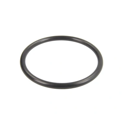 Abbildung von TOPRAN 113 883 Dichtung, Luftfiltergehäuse VOLKSWAGEN: Amarok Pickup, Golf 4 Schrägheck, Bora Limousine, AUDI: A3 Sportback, TT Coupe, Q5