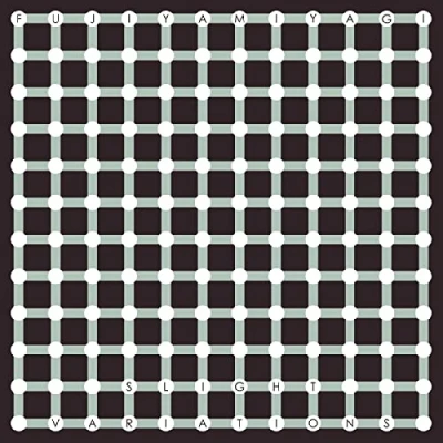 Abbildung von Slight Variations [Vinyl LP]