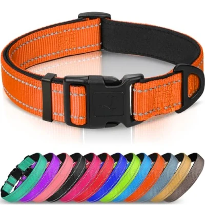 Abbildung von Joytale Halsband Hund, Gepolstertes Hundehalsband Breit aus Neopren Nylon Verstellbar für Mittelgroße Hunde, Weich und Reflektierend Hundehalsbänder, M, Orange