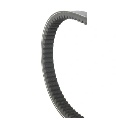 Abbildung von Keilriemen Malossi MHR X K Belt für Kawasaki, Kymco 300i