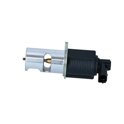 Abbildung von NRF 48338 AGR Ventil elektrisch mit Dichtungen RENAULT: MASTER 2 Pritsche/Fahrgestell, TRAFIC Bus, Kasten, OPEL: Vivaro A Kastenwagen