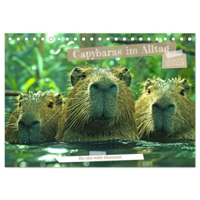 Abbildung von Capybaras im Alltag Ein Jahr voller Abenteuer (Tischkalender 2025 DIN A5 quer), CALVENDO Monatskalender
