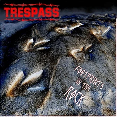 Abbildung von Footprints in the Rock