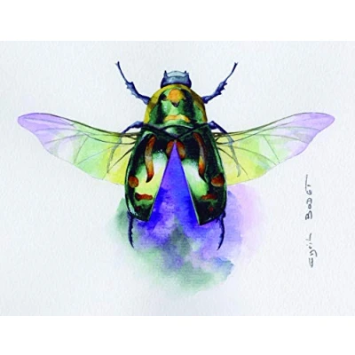 Abbildung von Clairefontaine 93421C Packung (mit 10 Bögen Aquarellpapier Etival, feinkörnig, aus 100% Zellulose, 56 x 76 cm, 200g, für alle Nasstechniken geeignet) weiß