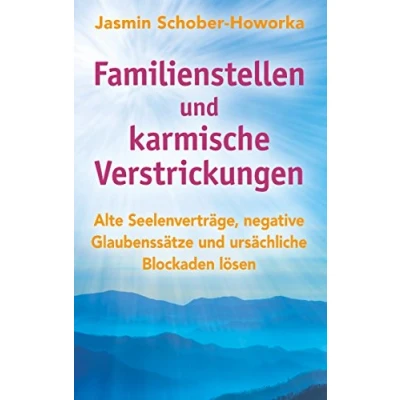 Abbildung von Familienstellen und karmische Verstrickungen: Ein spannendes Praxisbuch Mit vielen Fallbeispielen. neu entwickelten Methoden Lösungssätzen