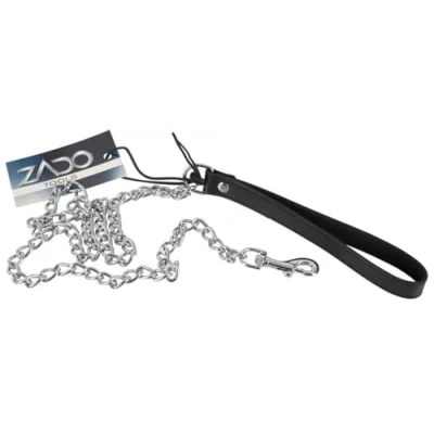 Abbildung von Leine mit Metallkette, Leder Halteschlaufe und Karabiner