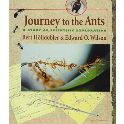 Abbildung von Journey to the Ants: A Story of Scientific Exploration
