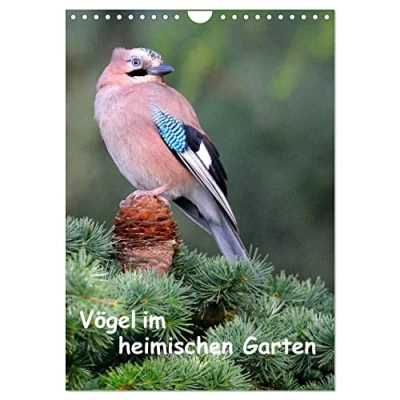 Abbildung von Vögel im heimischen Garten (Wandkalender 2025 DIN A4 hoch), CALVENDO Monatskalender