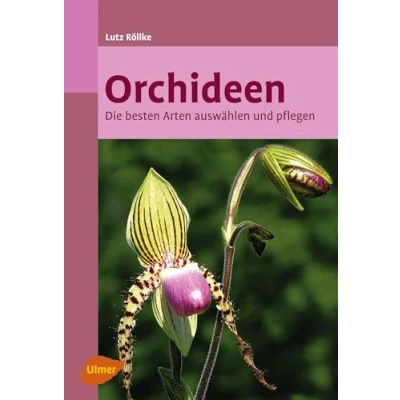 Abbildung von Orchideen: Die besten Arten auswählen und pflegen