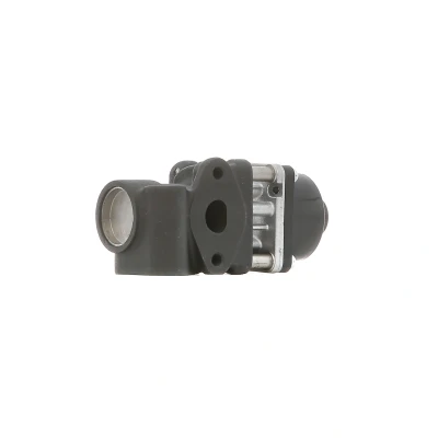 Abbildung von DELPHI EG10454 12B1 AGR Ventil SUZUKI: Jimny SUV, SWIFT 3, Grand Vitara 2 FIAT: Sedici