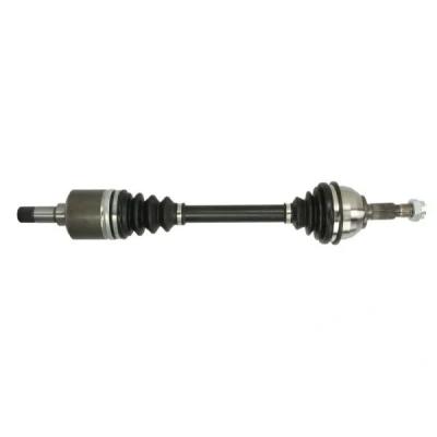 Abbildung von Antriebswelle PASCAL G2C113PC
