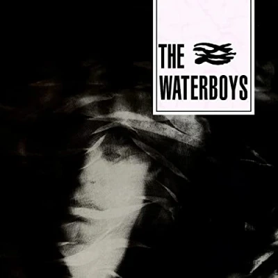 Abbildung von The Waterboys (LP)