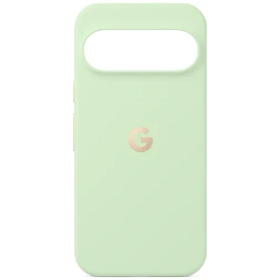 Abbildung von Google Pixelsnap Back Cover Grün Pixel 10/10 Pro