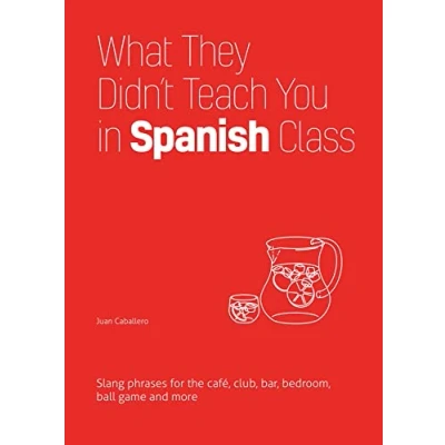 Abbildung von What They Didn&#039;t Teach You in Spanish Class: Slang Phrases for the Cafe, Club, Bar, Bedroom, Ball Game and More (Slang Language Books)