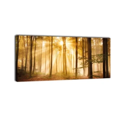 Abbildung von wandmotiv24 Leinwandbild Panorama Nr. 320 Wald am Morgen 100x40cm, Keilrahmenbild, Bild auf Leinwand, Dunst Stimmung Baum