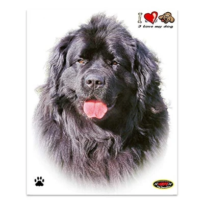 Abbildung von 4R Quattroerre.it 8004 Sticker Aufkleber Hund Neufundländer, 13.5 x 16 cm