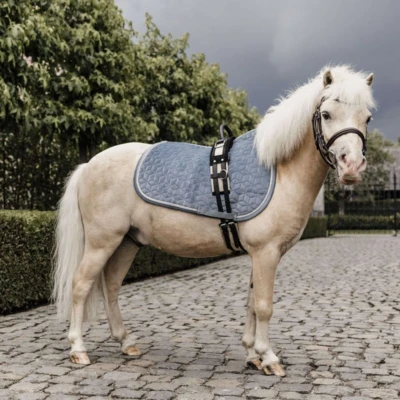 Abbildung von Kentucky Satteldecke Samt Hellblau Pony