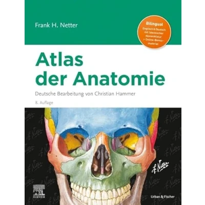 Abbildung von Netter Atlas der Anatomie: Deutsche Bearbeitung von Christian Hammer