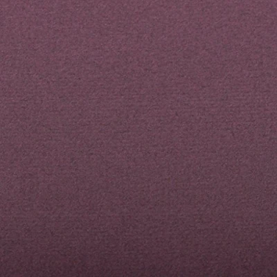 Abbildung von Clairefontaine 93510C Packung (mit 25 Blätter, 130 g, Ingres Pastell Papier, gekörnt, 50 x 65 cm, ideal für Trockentechnik) dunkelviolett