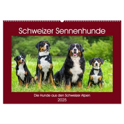 Abbildung von Schweizer Sennenhunde die Hunde aus den Alpen (Wandkalender 2025 DIN A2 quer), CALVENDO Monatskalender
