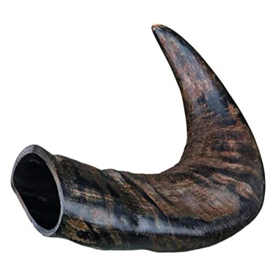Abbildung von Trixie Genuine buffalo tygge horn, medium (6 pk/ps)