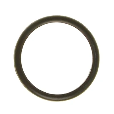 Abbildung von AJUSA 00538100 Dichtung, Thermostat FORD: Sierra Mk2 Schrägheck, Limousine, SCORPIO 1