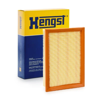 Abbildung von HENGST FILTER E619L Luftfilter 56 212 295 Pollenfilter