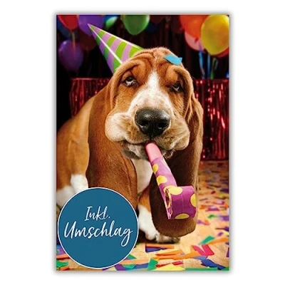 Abbildung von bsb lustige Karte zum Geburtstag 11,5 x 17,0 cm hochwertige Geburtstagskarte mit Umschlag schöne Geburtstagskarten für Kinder/Frauen &amp; Männer Glückwunschkarte Hunde Motiv