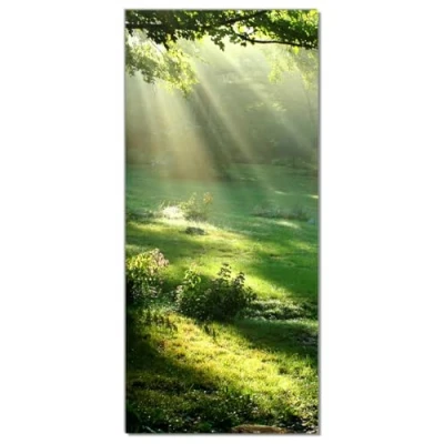Abbildung von Wallario Selbstklebende Türtapete Sonnenstrahlen im Wald Türposter 93 x 205 cm Abwischbar, rückstandsfrei zu entfernen
