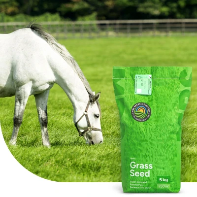 Abbildung von Rasensamen Horse Elite mix Pferdeweide Universal 2 Kilo 200m2 MRS Seeds &amp; Mixtures