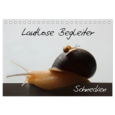 Abbildung von Lautlose Begleiter Schnecken (Tischkalender 2025 DIN A5 quer), CALVENDO Monatskalender